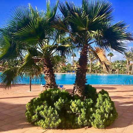 Fuerteventura Apartments Corralejo Kültér fotó