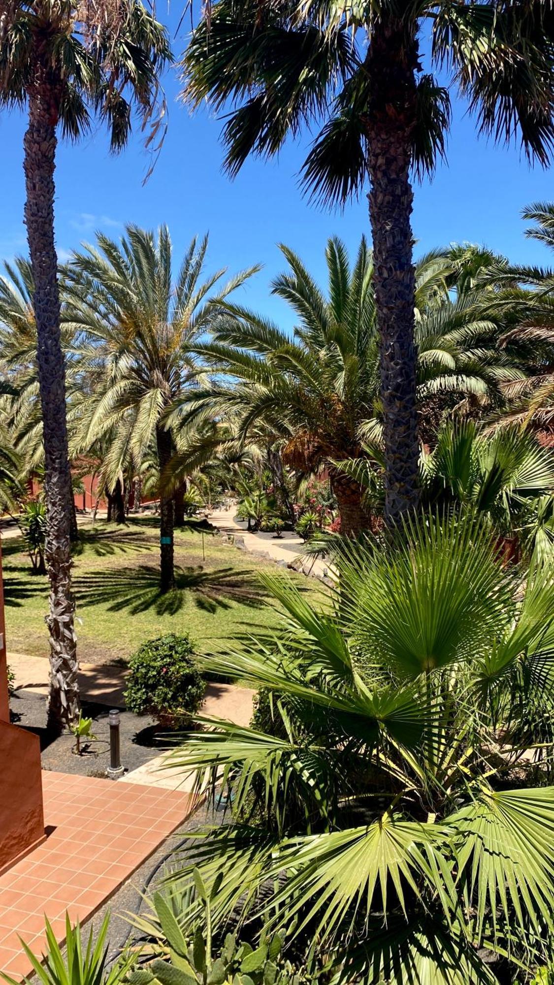 Fuerteventura Apartments Corralejo Kültér fotó